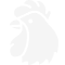 Cock Fighting